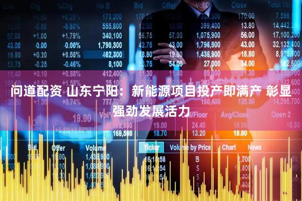 问道配资 山东宁阳：新能源项目投产即满产 彰显强劲发展活力