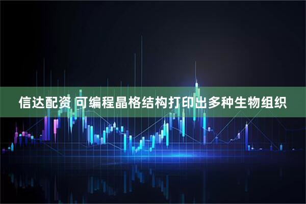 信达配资 可编程晶格结构打印出多种生物组织