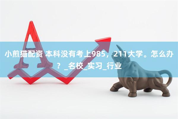 小煎猫配资 本科没有考上985，211大学。怎么办？_名校_实习_行业